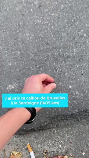 Thomas Hamilton sur TikTok