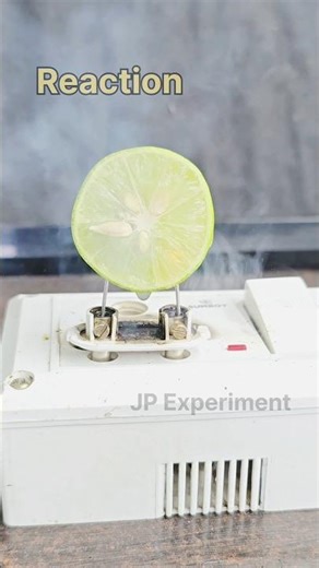 Lemon vs Electricity ⚡🍋 | #trend #Shorts