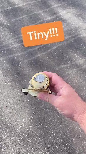 Shimano Calcutta Conquest 100 Reel Review