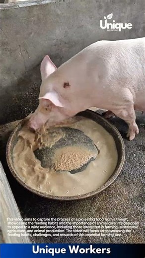 Farming for beginners: a simple guide to abaca farming