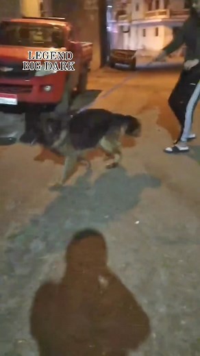 LEGEND BIG DARK.. | Ramy Hamada