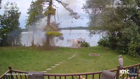 Dramatic video shows lightning strike exploding tree in Wisconsin