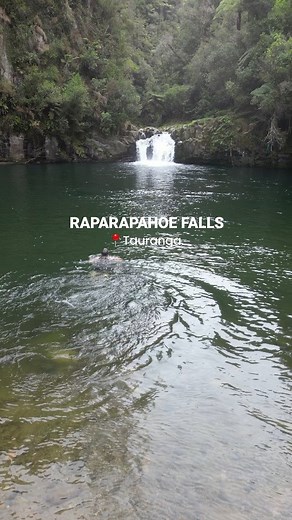 Have you visited one of the lesser visited waterfalls in Tauranga? 📍RAPARAPAHOE FALLS No4 Road, Te Puke. 💦 🕰️ 15-30 mins descent to this clear waterhole & waterfall. 👣 Apparently there is a 𝐬𝐞𝐜𝐫𝐞𝐭 𝐭𝐫𝐚𝐜𝐤 that leads to the top of the falls which we are keen to try find next time! Otherwise there is a rope to the left of the falls where you can pull yourself up with. We went here in winter and boy the water was nippy! Have you visited this gorgeous waterfall? | New Zealand Adventures