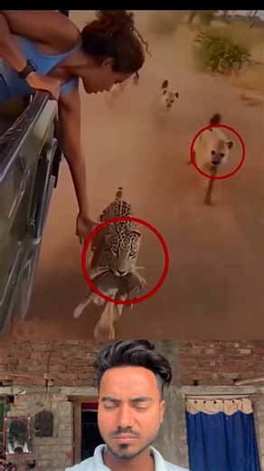 Mustak Alam on Instagram: "Respect 🫡 like follow, please 🙏 #reelsindia #reels #viral #funny #real #india #instamood #videoviralシ #love #viralvideochallenge"