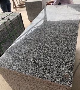 [Hot Item] Dark Grey Granite Tile for Outside Paving Stone Table
