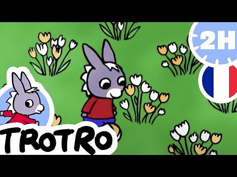 Pas maintenant Trotro |NOUVELLE COMPILATION|HD