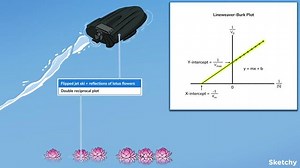 Reversible Inhibition and Lineweaver-Burk Plots - Free Sketchy MCAT Lesson