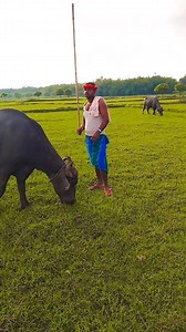 10K reactions · 136 shares | Anil Yadav on Reels | Facebook