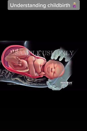 What happens when a woman goes into labor? 👩🏻‍⚕️ #obgyndoctor #pregnancy #medicine #childbirth #healthtokph #baby #fyp © Nucleus Medical Media