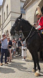 Veteran's Questions & Royal Guard's Courtesy: Rules at Horse Guards.🇬🇧👑🇨🇦 #HorseGuards #VisitLondon #Horses #Veterans #History #British #Tradition | At Horse Guards