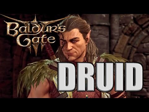 [Baldur's Gate 3] Moon Druid Build Guide! (So You Wanna Be A Druid?)