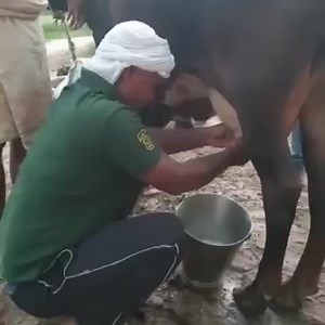 36K views · 543 reactions | Ghanshyam Tech Analysis on Reels | Facebook