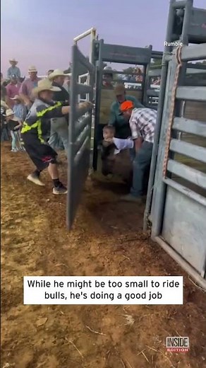 Fearless Kid Rides Sheep at Rodeo #shorts