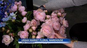 Your Community: Urban Market Floral Warehouse now open - NTV: Newfoundland and Labrador's Most Trusted News Source