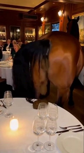 Horse poops on a table. #funny #ai #funnyanimal