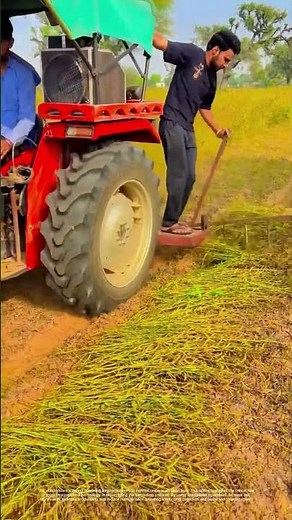 Reaping the Fields: How Modern Machinery Transforms Farming Efficiency