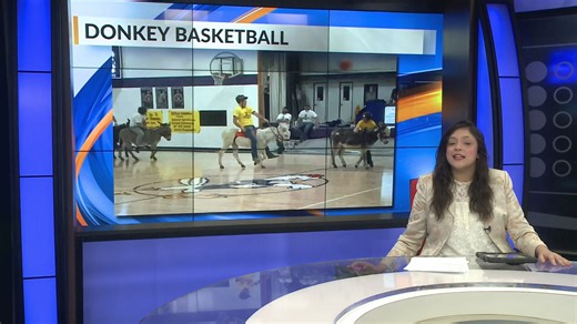 Donkey Basketball