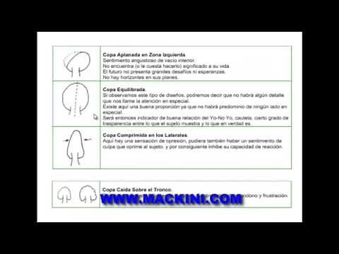 ARBOL TEST - DIBUJO - PRUEBA PSICOMETRICA REVELADA