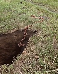 While digging to replace our mailbox, we discovered this metal object around 8 inches deep — it’s got a chain, but we have no clue what it is. Thoughts?👇 | Sculpture