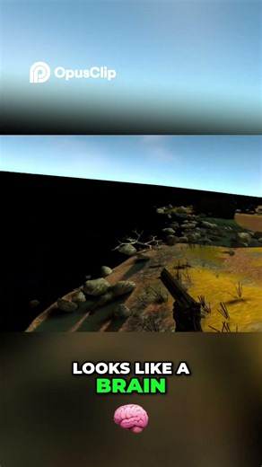 Short 8: CoDZ Lakeside, Call of Duty Zombies in VR! (In Contractors)