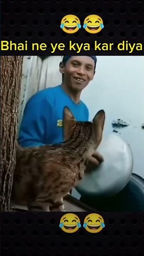 New fane video YouTube # short video # funny # comedy # funny clips # comedy video trending short