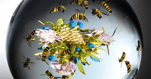 Beauty Beyond Nature: Stunning Artistic Glass Paperweights by Paul J. Stankard