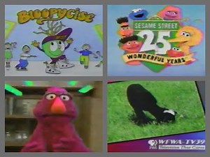 PTV Park Program Break (1995 WFWA) #10