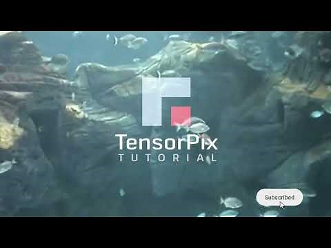 Tutorial: AI Video Enhancement with TensorPix