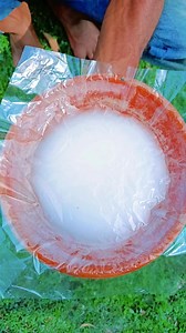 3.9M views · 10K reactions | Making yogurt through a process from jungle milk #camping #survival #outdoors #survival_bogura #hack #reels | Survival Bogura | Facebook