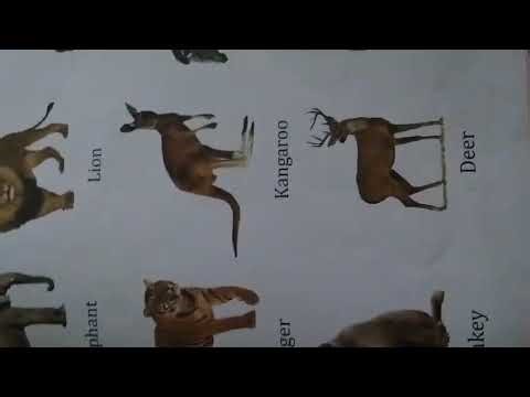 Classwork, Environmental Science, Class LKG, Date 31/10/2025