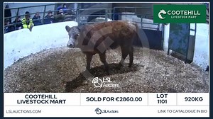 📲 Check out more at www.lslauctions.ie/Premium! 🌟 Top Lot sold at Cootehill Livestock Mart PSRA LIC. NO 004332 📆 7/03/2025 🐄 Lot 1101 💰Sold for €2860.00 𐄷 920KG Cootehill Livestock Mart PSRA LIC. NO 004332 🌟 #CootehillLivestockMart #auctionmarts #toplot #livestockauction #fyp #cow #bull #ireland #livestockmart #agricultural #farm #farmlife | LSL Auctions