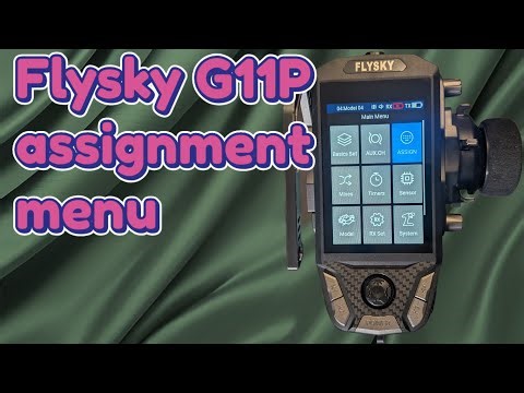 Flysky G11P Assignment menu guide