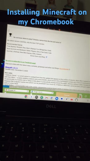 Bro I am connecting my Chromebook to my monitor to play Minecraft and Roblox