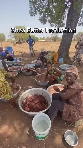 The African Shea Butter Production It works as an emollient that softens and hydrates skin. Because it contains several types of fatty acids — including lineoleic, oleic, palmitic and stearic acids — that improve the skin’s natural barrier, shea butter also protects skin from damage from the environment like pollutants. #powerofafrica🇬🇦🇸🇳🇪🇬🇲🇬🇲🇱🇲🇱🇪🇷🇳🇬 #powerofafrica #viral #africa #explorepage #fyp | Power Of Africa