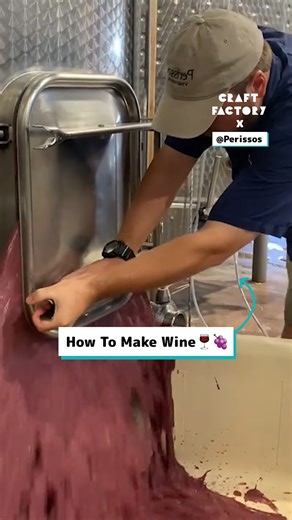 The process of making red wine 🍷🍇 | Craft Factory