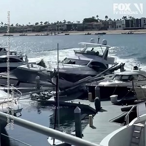 45K views · 811 reactions | WILD VIDEO: A suspect in a stolen yacht crashed into several other yachts following a boat chase in Newport Beach, California. MORE: https://bit.ly/3hYctmn | FOX 10 Phoenix | Facebook