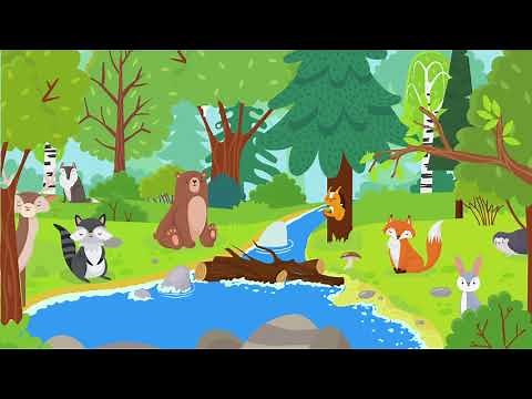 Clasificación de los animales explicada fácil | Ciencias naturales