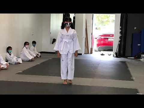 Taekwondo White Belt Test