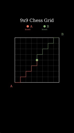 9 × 9 Chess Grid #jee2026 #maths #iitjee #jeemains #ytshorts #yt