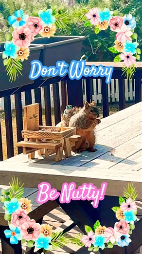 Don’t Worry, Be Nutty! 🎶🌰🐿️ #shorts #shortsfeed #squirrel #squirrelshorts #happy #happyvibes
