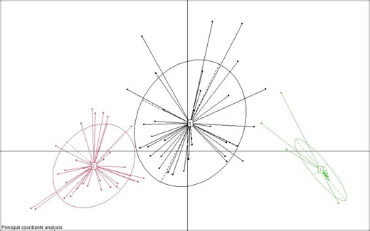 无监督聚类PAM算法和DMM算法分析（肠型分析等）