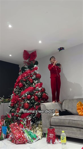 Happy Christmas with Remote Control Toy