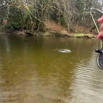 Monster Steelhead Pulled Me All Over the River #fishing #steelhead #flyfishing