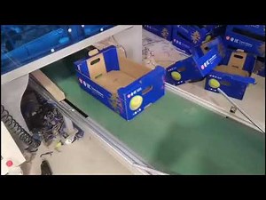 Automatic Corrugated Box Forming Machine (Fruit box)