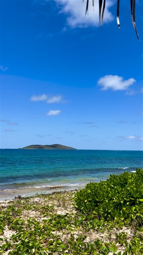 Happy Saturday ☀️🌊 #gotostcroix #itstheweekend #beachmood #islandlife #stcroix #usvi #usvirginislands | GoToStCroix.com