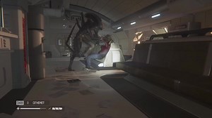 Xenomorph on TikTok