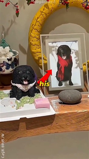 🎂 The Birthday Cake That Made This Dog Emotional ❤️🐶