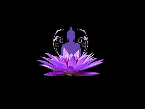 50 minuten relaxatiemuziek met piano | Just Relax