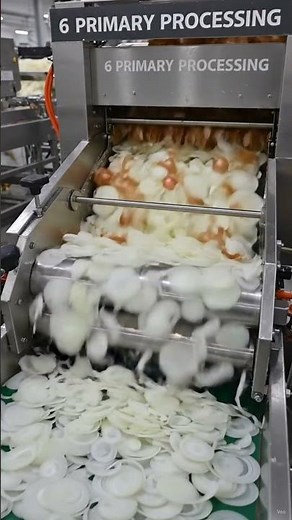 Dehydrated Onion Flakes Manufacturing | Factory Tour