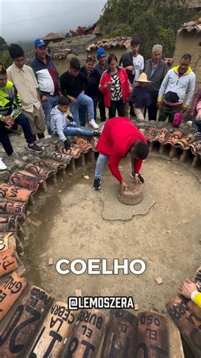 A Lotéria de 1 MILHÃO que depende de um coelho!🐇💸 #shorts #curiosidades